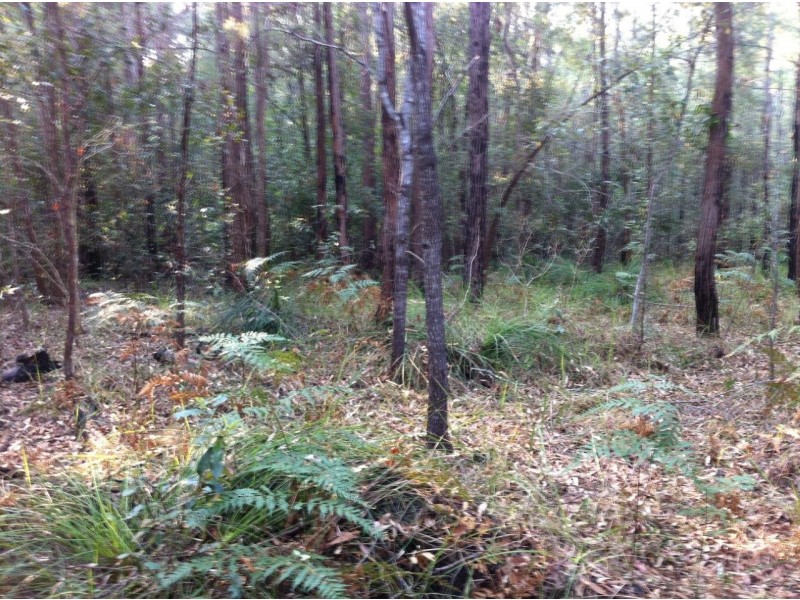 Captain Creek QLD 4677