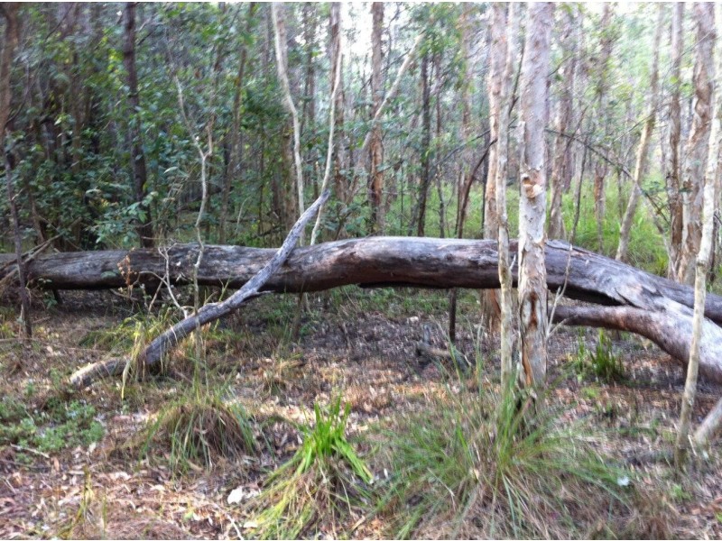 Captain Creek QLD 4677