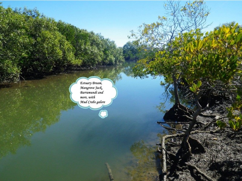 Agnes Water QLD 4677