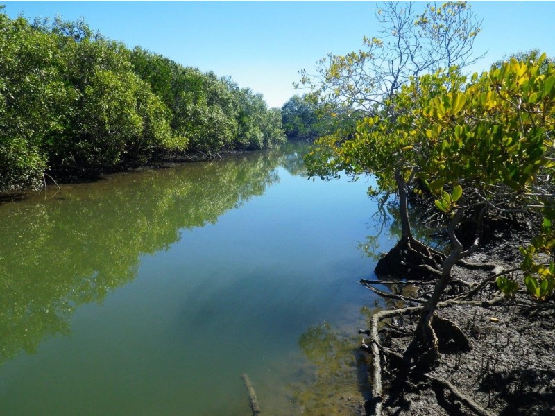 Agnes Water QLD 4677