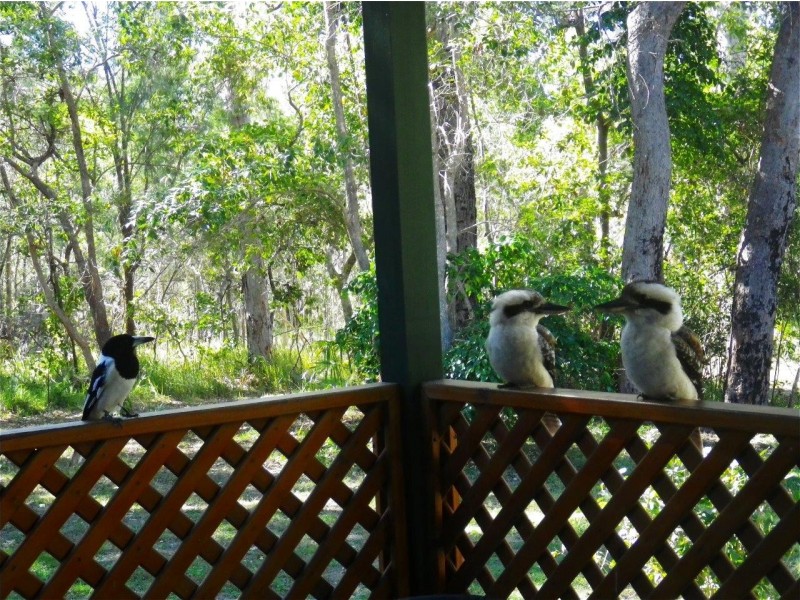 Agnes Water QLD 4677