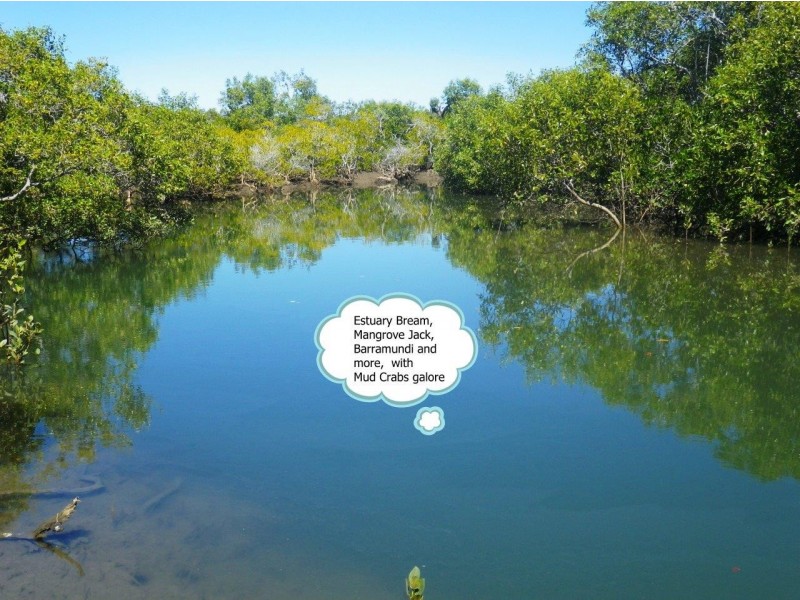 Agnes Water QLD 4677