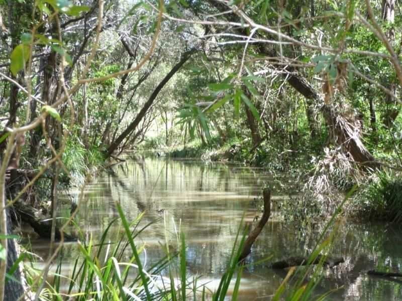 125 Creevey Drive, Captain Creek QLD 4677