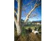 2301 Round HIll Road, Agnes Water QLD 4677