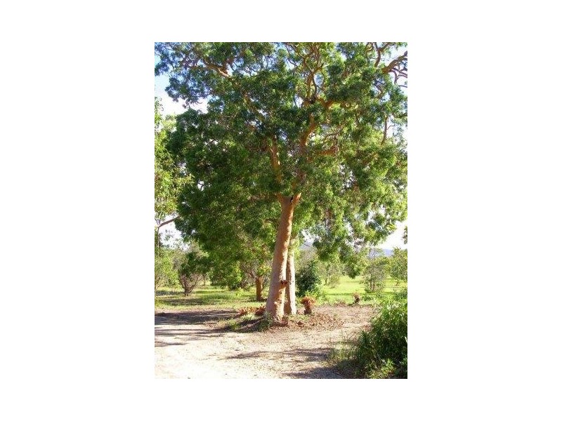 207 Bicentennial Dr, Agnes Water QLD 4677