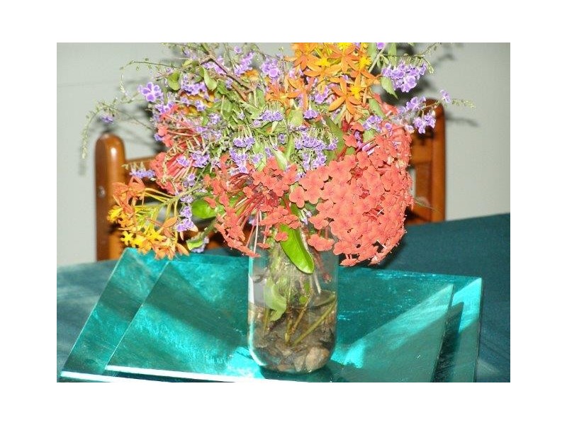 207 Bicentennial Dr, Agnes Water QLD 4677