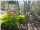 lot 486 Wilson Drive, Agnes Water QLD 4677