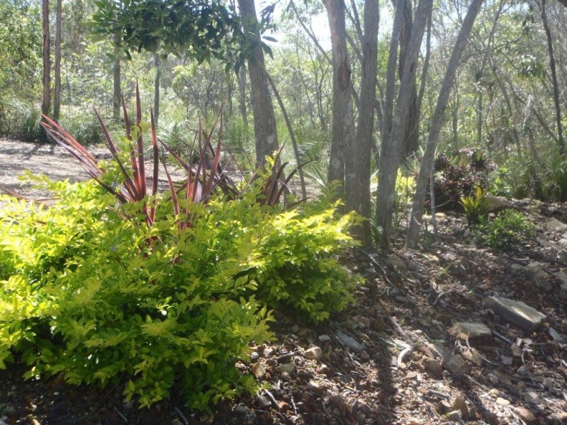lot 486 Wilson Drive, Agnes Water QLD 4677