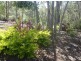lot 486 Wilson Drive, Agnes Water QLD 4677