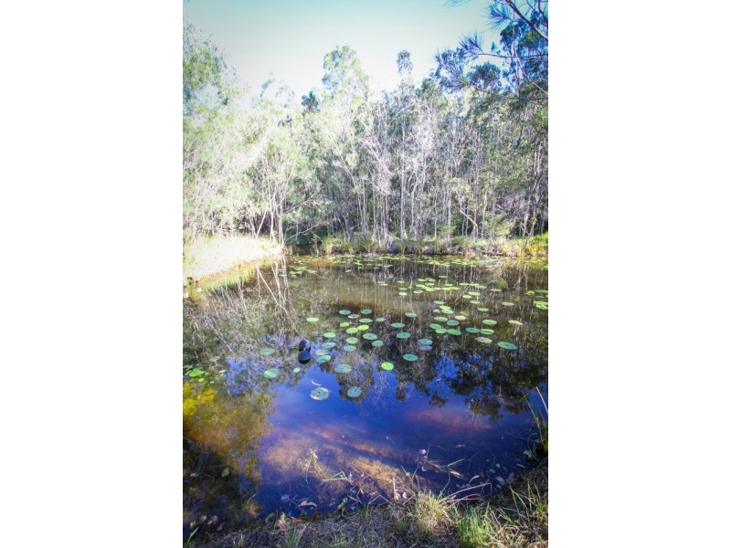 254 Streeter Drive, Agnes Water QLD 4677