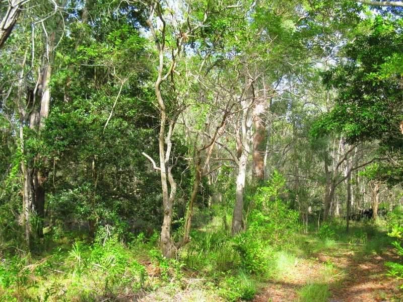 3 Round Hill Road, Round Hill QLD 4677