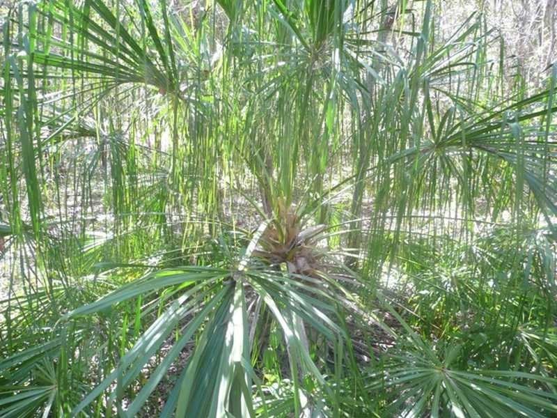 3 Round Hill Road, Round Hill QLD 4677