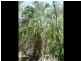 3 Round Hill Road, Round Hill QLD 4677