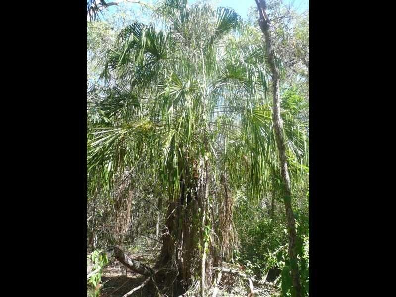 3 Round Hill Road, Round Hill QLD 4677