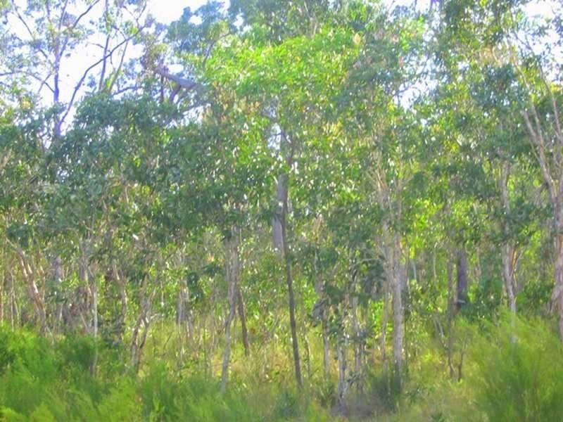 3 Round Hill Road, Round Hill QLD 4677