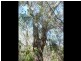 3 Round Hill Road, Round Hill QLD 4677