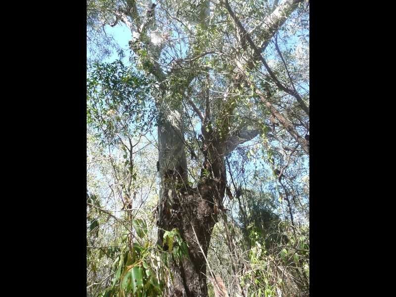 3 Round Hill Road, Round Hill QLD 4677