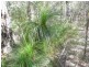 3 Round Hill Road, Round Hill QLD 4677