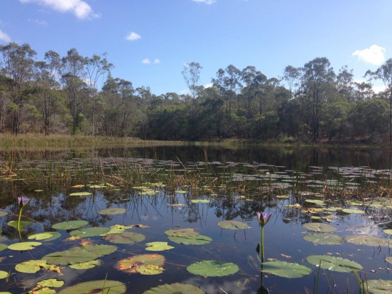 613 Diamond Hill Rd, Rosedale QLD 4674