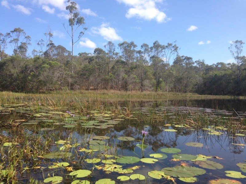 613 Diamond Hill Rd, Rosedale QLD 4674