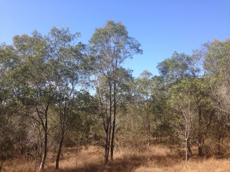 613 Diamond Hill Rd, Rosedale QLD 4674