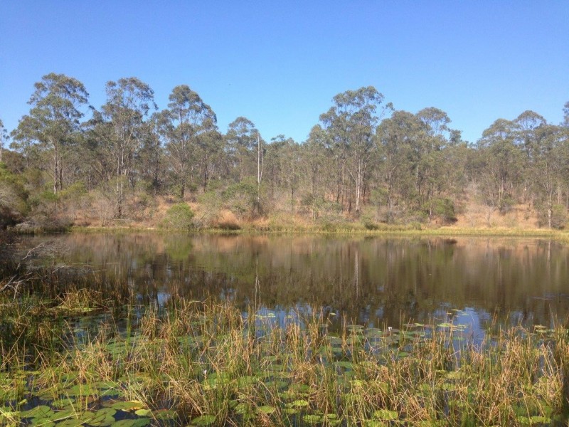 613 Diamond Hill Rd, Rosedale QLD 4674