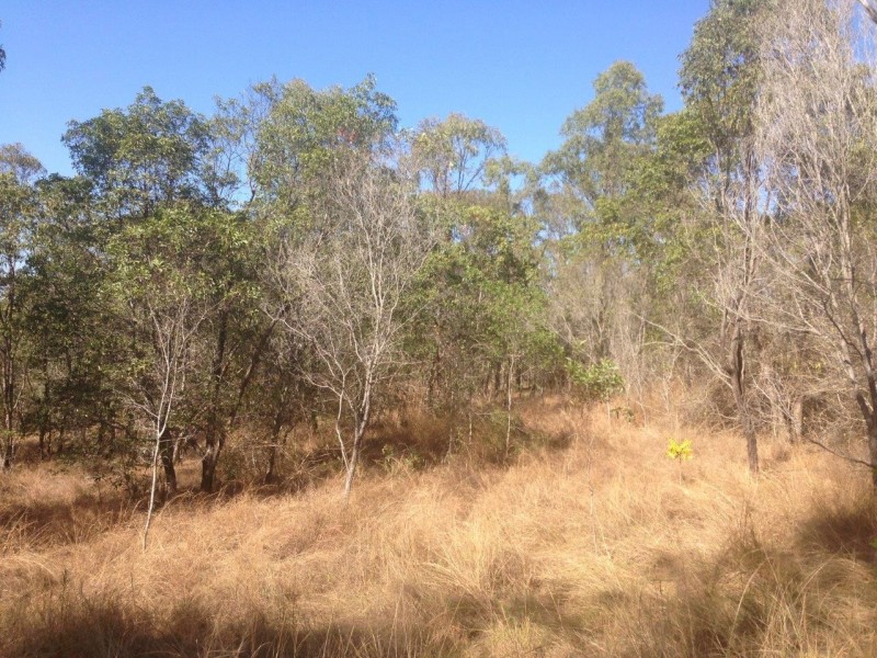 613 Diamond Hill Rd, Rosedale QLD 4674