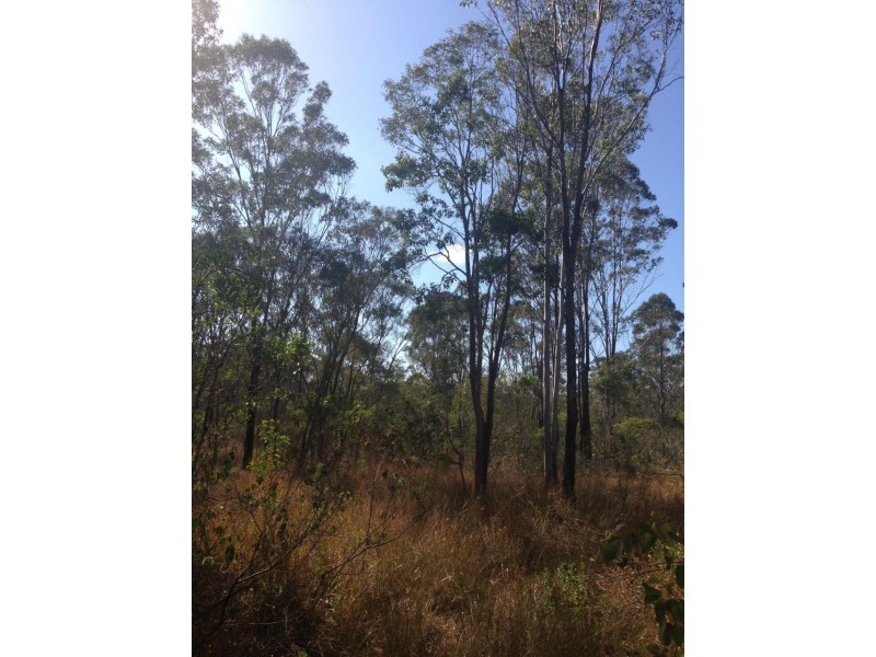 613 Diamond Hill Rd, Rosedale QLD 4674