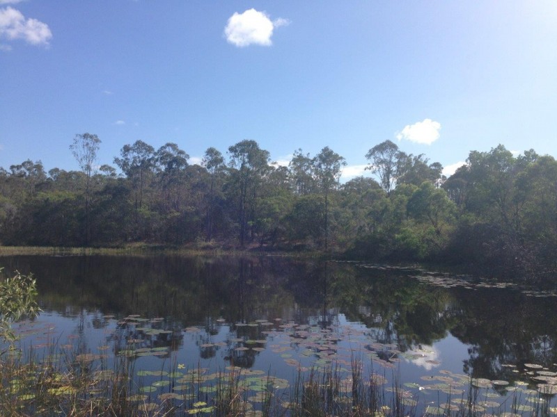 613 Diamond Hill Rd, Rosedale QLD 4674