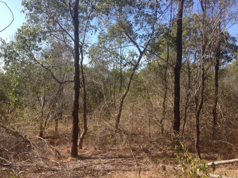 613 Diamond Hill Rd, Rosedale QLD 4674