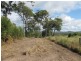 2385 Round Hill Rd, Round Hill QLD 4677