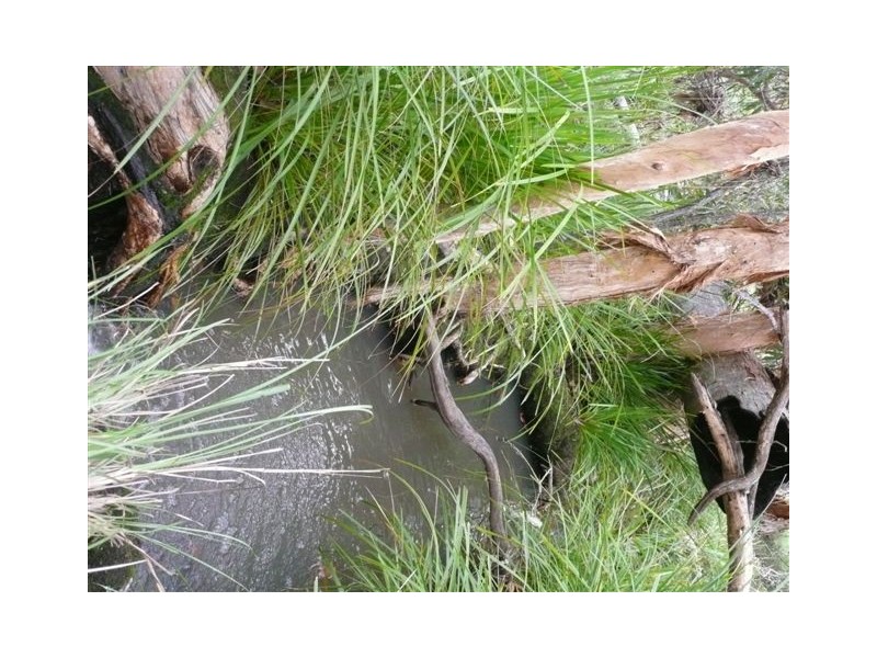 Captain Creek QLD 4677