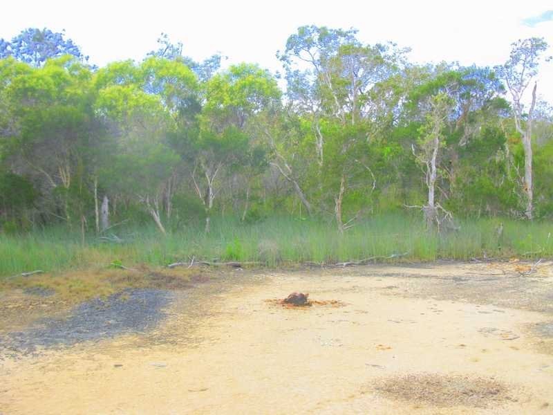 Agnes Water QLD 4677