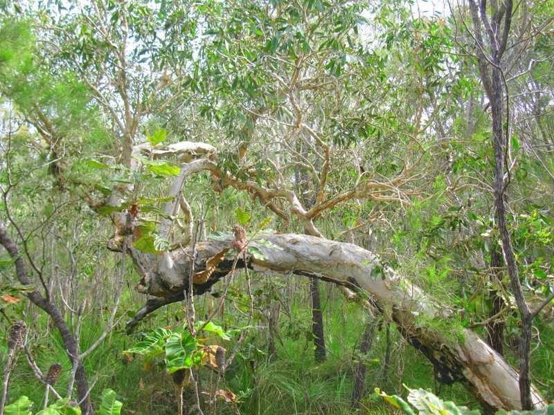 Agnes Water QLD 4677