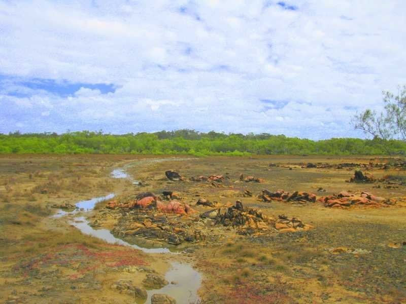 Agnes Water QLD 4677