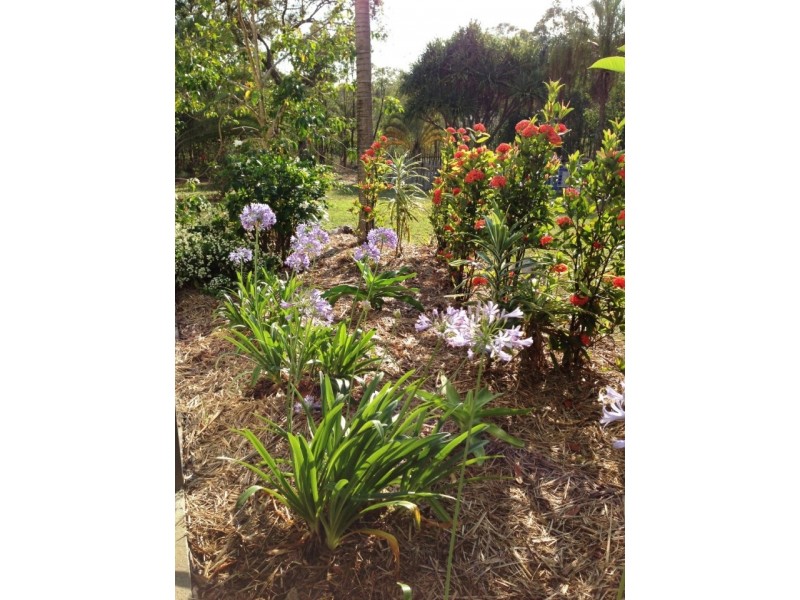 16 Bills Road, Agnes Water QLD 4677