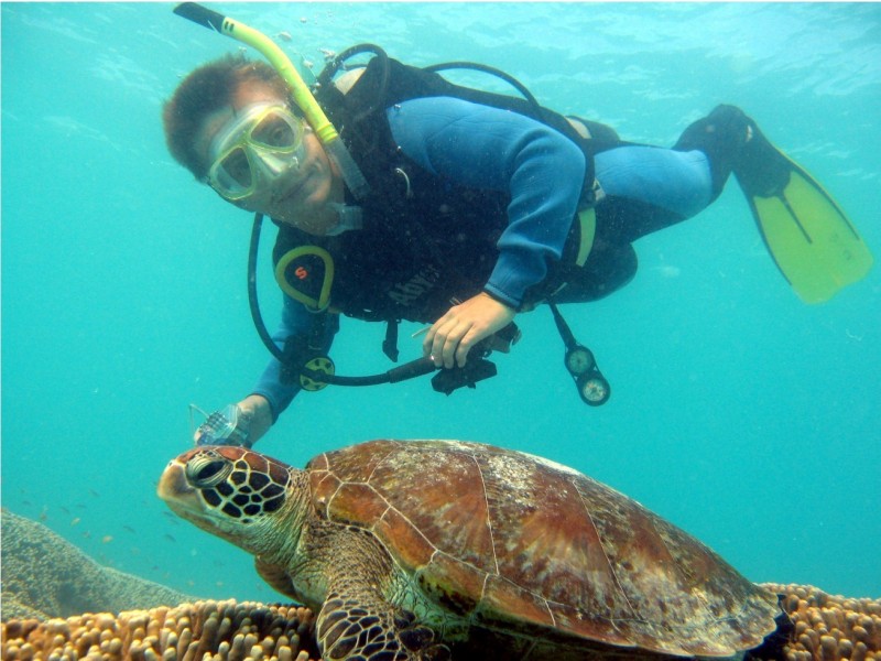 5 Bloodwood Avenue, Agnes Water QLD 4677