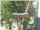 3 Goldsands crt, Agnes Water QLD 4677