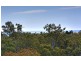 43 Innamincka Way, Agnes Water QLD 4677