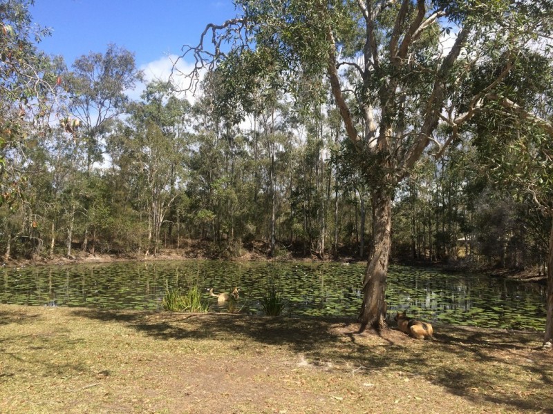 74 Mcghee Crescent, Agnes Water QLD 4677