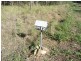 Lot 12 Dillon Rd, Captain Creek QLD 4677