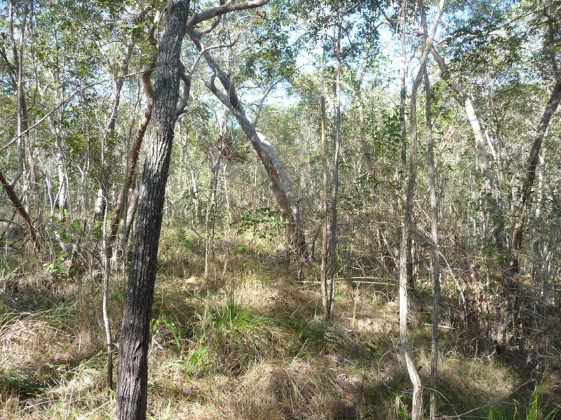 Lot 12 Dillon Rd, Captain Creek QLD 4677