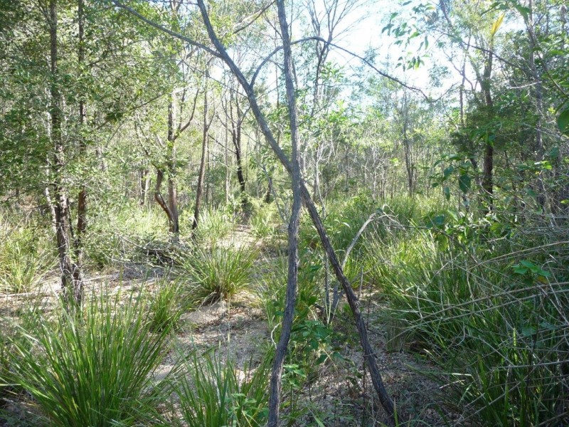 Lot 12 Dillon Rd, Captain Creek QLD 4677