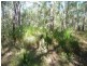 Lot 12 Dillon Rd, Captain Creek QLD 4677