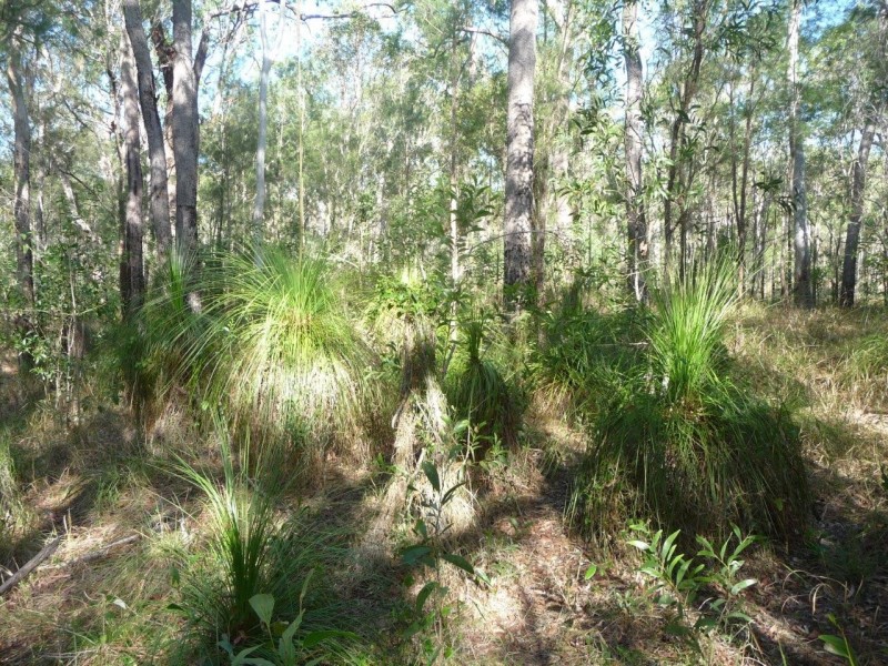 Lot 12 Dillon Rd, Captain Creek QLD 4677