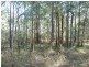 Lot 12 Dillon Rd, Captain Creek QLD 4677