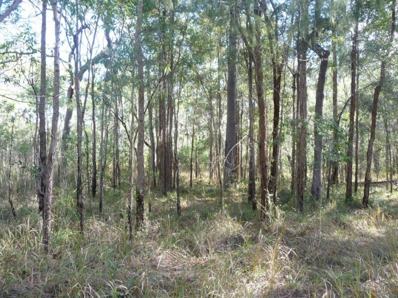 Lot 12 Dillon Rd, Captain Creek QLD 4677