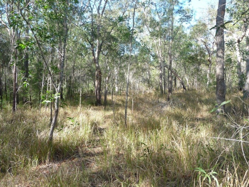 Lot 12 Dillon Rd, Captain Creek QLD 4677