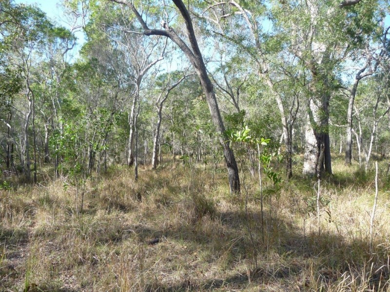 Lot 12 Dillon Rd, Captain Creek QLD 4677