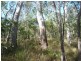 Lot 12 Dillon Rd, Captain Creek QLD 4677